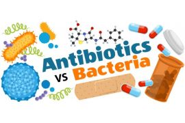 Лекция на английском языке «Антибиотики против бактерий. Кто победит?»