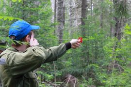 Основы проведения исследований лесных насаждений и организации проектной деятельности школьных объединений экологической направленности