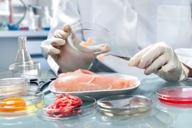 Методы контроля качества и безопасности пищевых продуктов. Повышение квалификации микробиологов