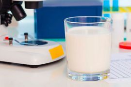 Микробиология молока и молочных продуктов. Организация микробиологического контроля. Правила безопасности при работе с микроорганизмами 3-4 групп патогенности