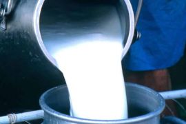 Переработка молока в фермерских хозяйствах
