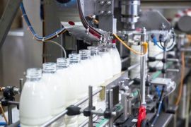 Производственное предпринимательство по переработке молока